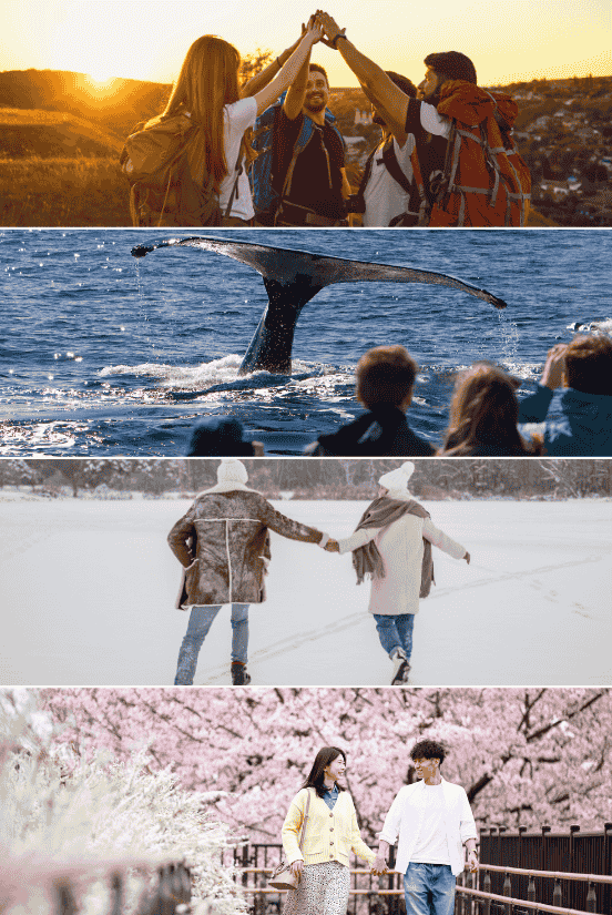 A group of hikers celebrating at sunset with a high-five. Whale watching tour with a whale's tail splashing in the ocean. A couple holding hands while running through the snow. A couple walking under cherry blossoms in spring.