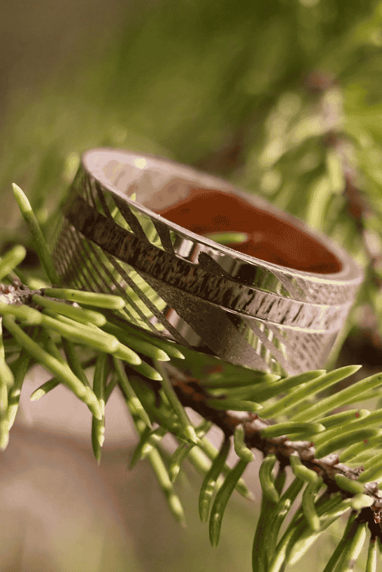 A rustic Damascus steel and wood wedding ring placed on pine tree branches.